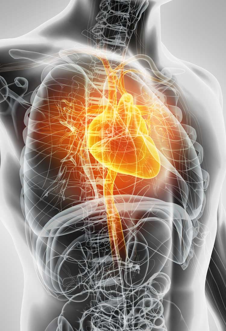 Acute Cardiovascular Disease – SmartPharm Therapeutics